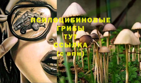 кокаин премиум Аркадак