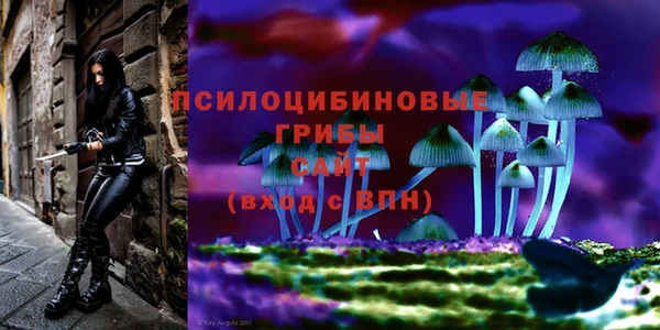 ALPHA-PVP Арсеньев