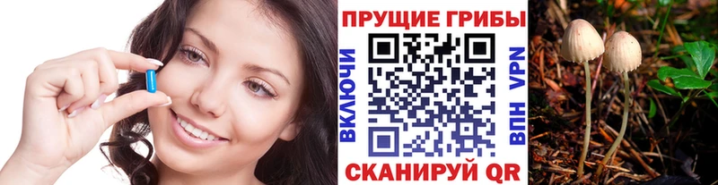 Галлюциногенные грибы Cubensis  Кубинка 
