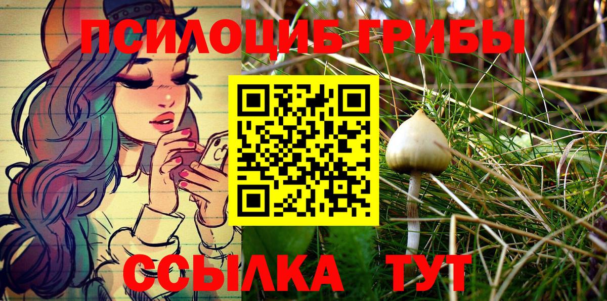 Галлюциногенные грибы ЛСД Кубинка