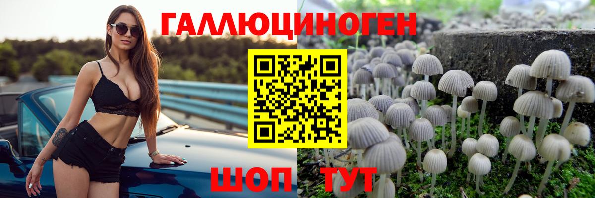 ГАШИШ Кубинка