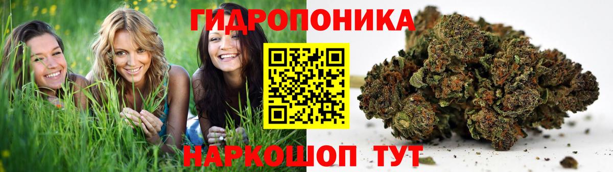 Марихуана планчик  Канабис THC 21%  Конопля индика  Бошки Шишки план  Кубинка  Вход с VPN 